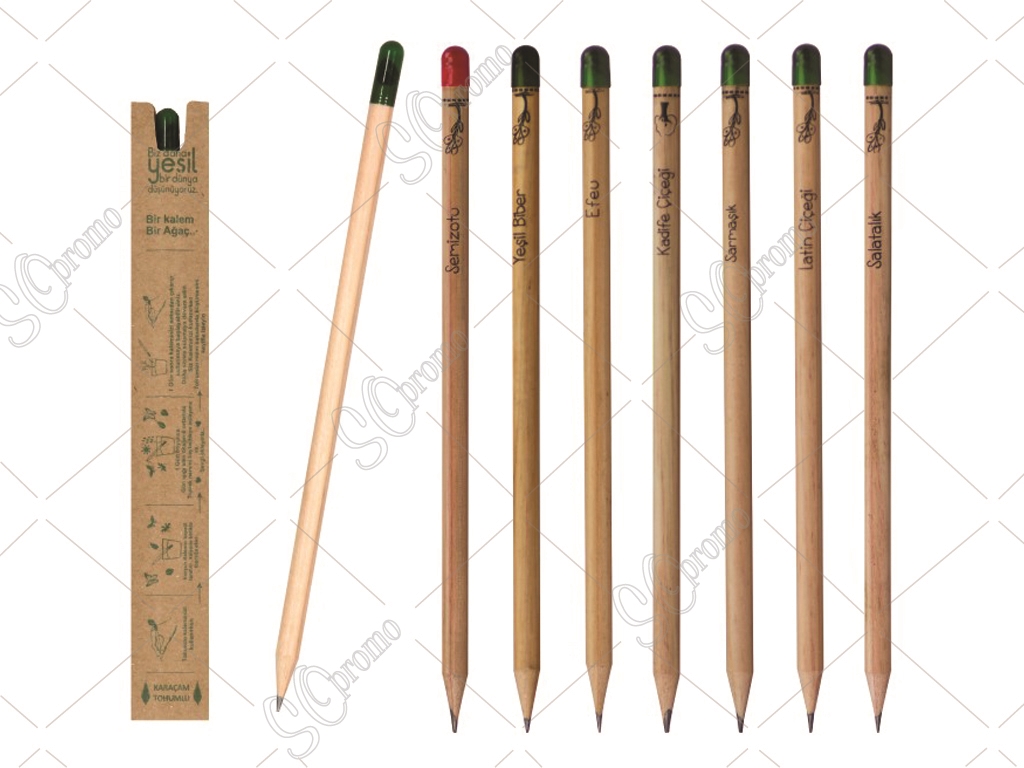 Pencil